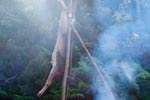Survival Training